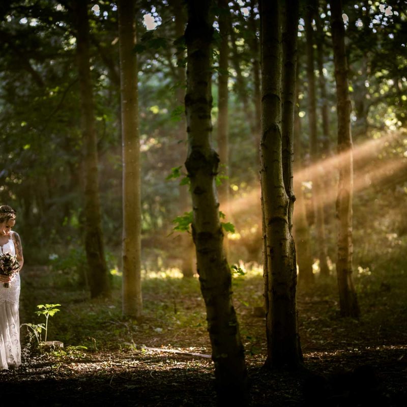 beautiful ethereal photo of a bride in a wood in northampton, with sun beams piecing the woodland canopy