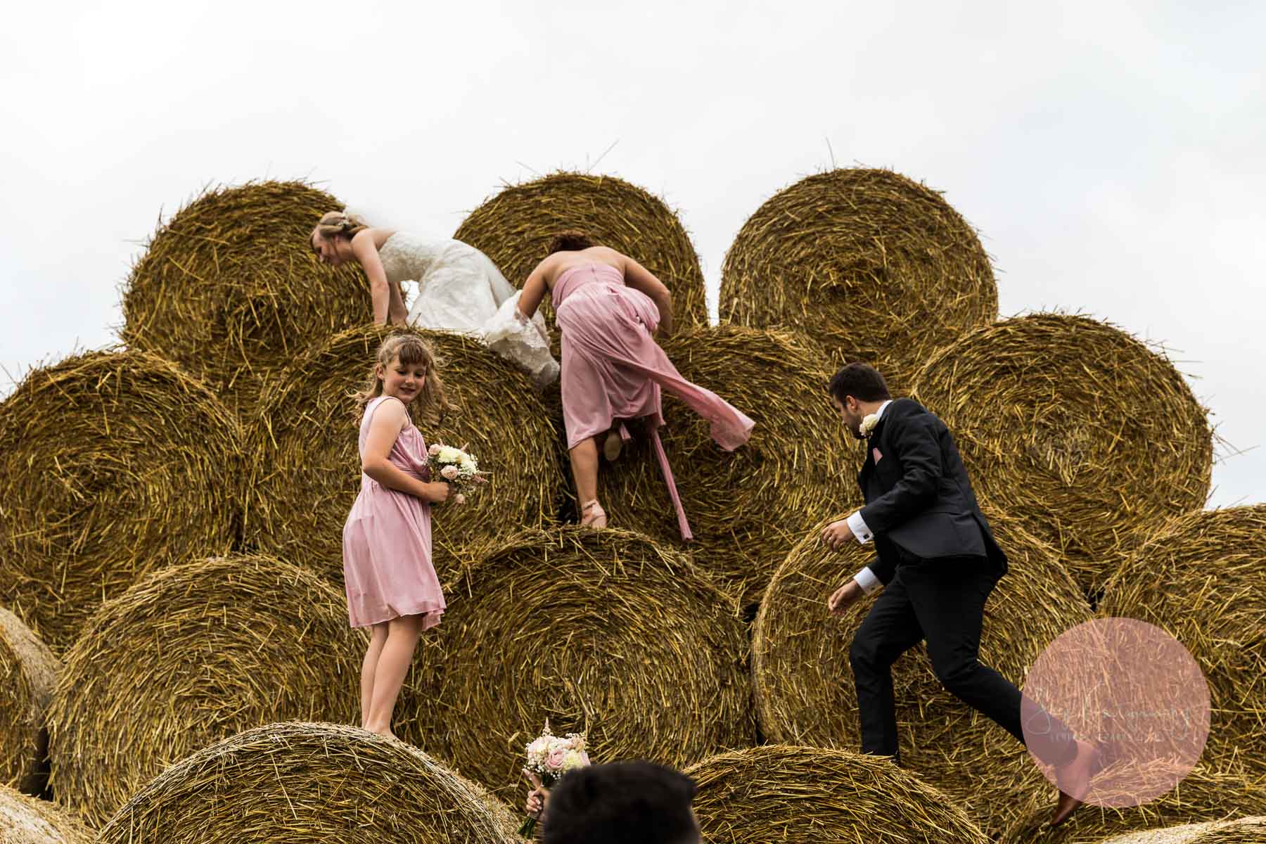 climbing hay bales