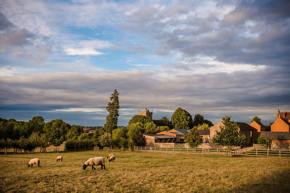 Dodford Manor Wedding Venue-7 Dodford Manor Wedding Photographer captures sheep grazing in a field, with a charming house as the backdrop.