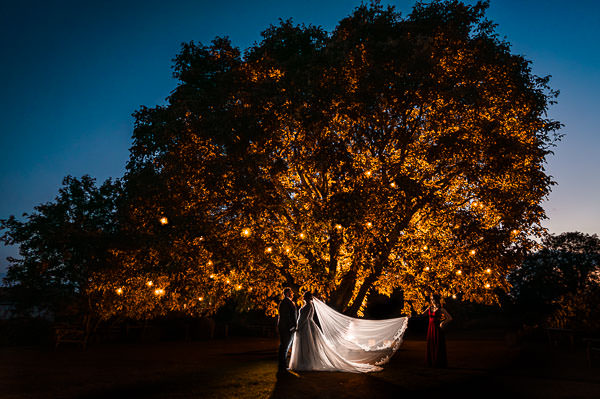 wedding photography portfolio 87 A couple stands under a large, illuminated tree at night, holding a flowing white cloth that catches the light, with silhouettes of people nearby.