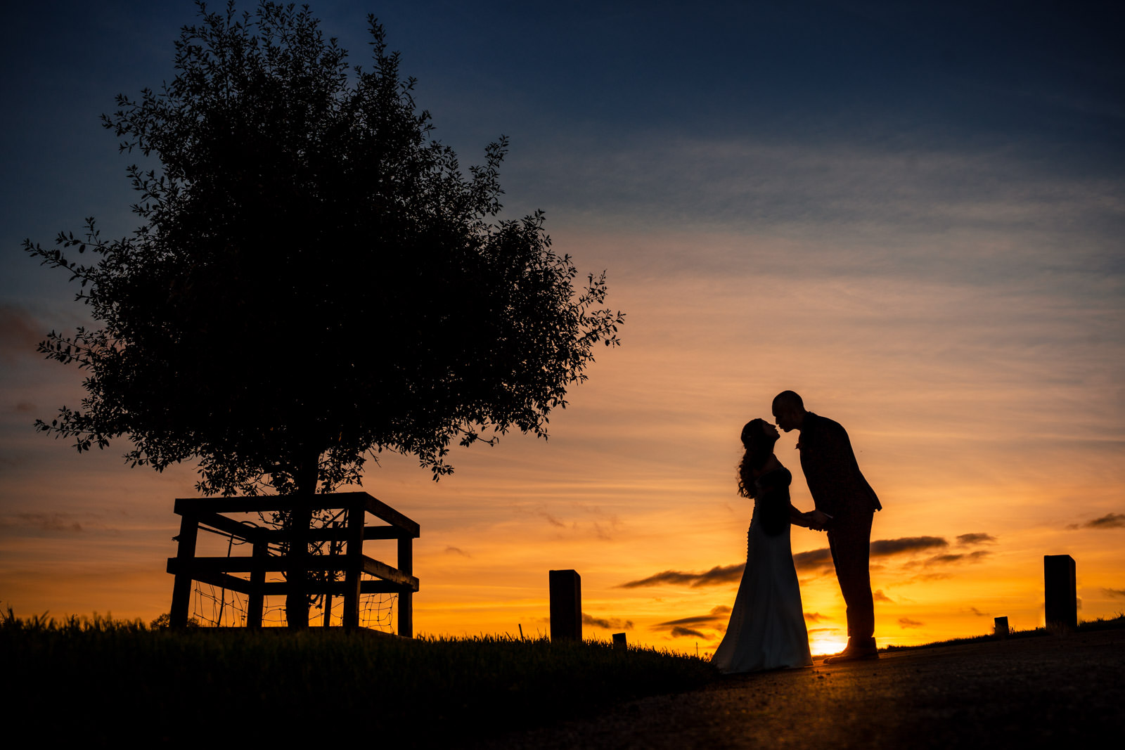 Silhouetted couple kissing at sunset near a tree, with a vibrant orange sky in the background.