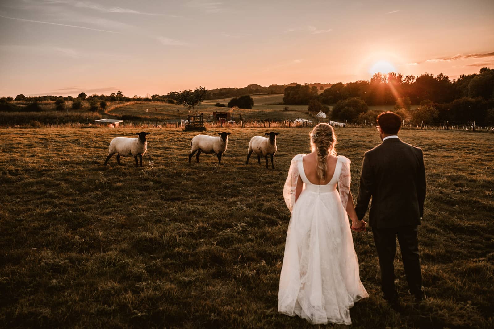 Couple in field at sunset with sheep