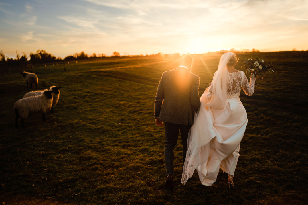 A bride and groom walk hand in hand across a grassy field at sunset, with sheep dotting the landscape, capturing the serene beauty of winter wedding photography.